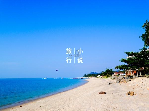 探索指挥官人格ENTJ的天赋是什么?这种人格会如何充分的发挥自己的魅力?,解答你的疑惑